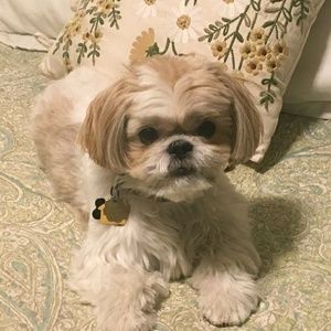 Meet your Posher, Mary